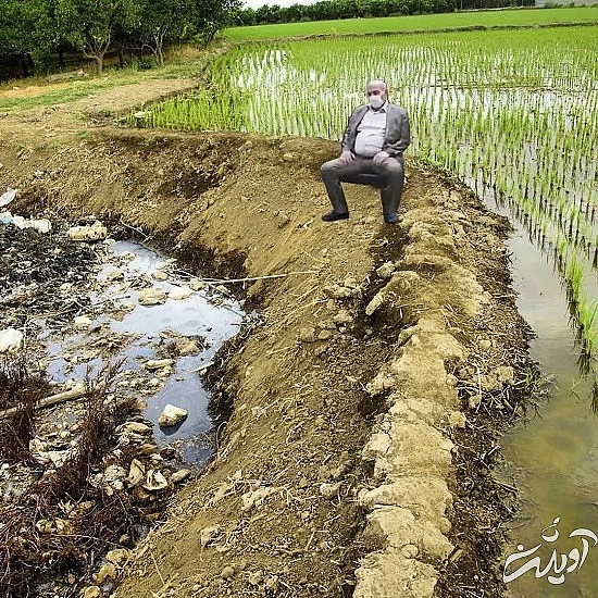 واکنش جالب به نشستن کللانتری واکنش جالب به نشستن کللانتری